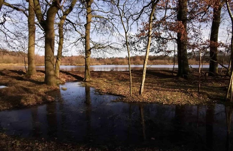 Landschaft und Natur